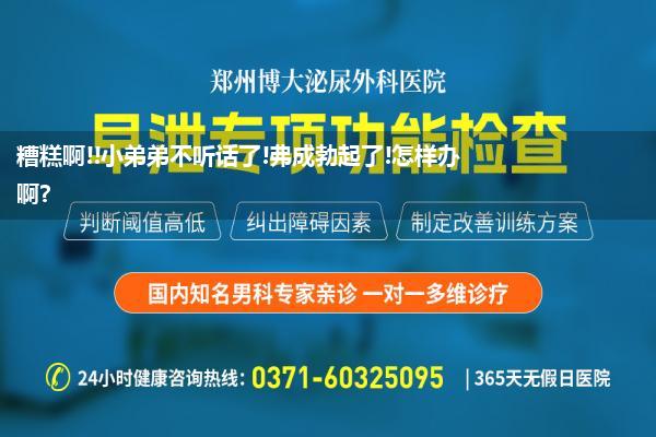 糟糕啊!!小弟弟不听话了!弗成勃起了!怎样办啊?