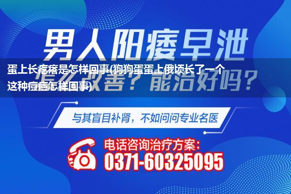 蛋上长疙瘩是怎样回事(狗狗蛋蛋上俄顷长了一个这种痘痘怎样回事)